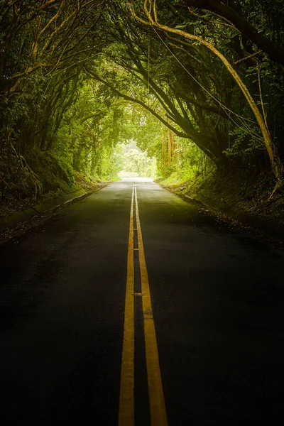 Avontuur Hawaï Natuurprint — Stockfoto