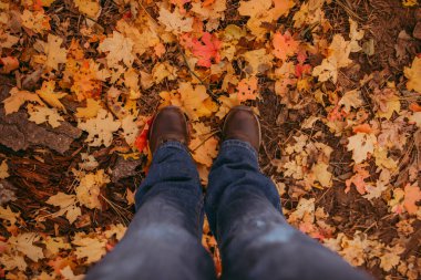 Yürüyüşçüyle birlikte yere düşer.