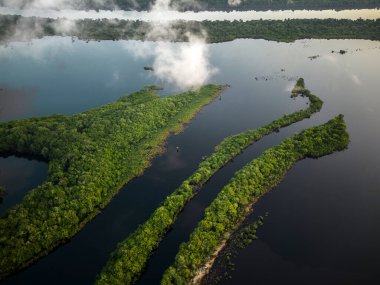Anavilhanas Takımadaları, Amazonlar, Brezilya 'daki yeşil Amazon yağmur ormanlarına, bulutlara, adalara ve nehre güzel hava manzarası