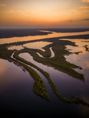 Anavilhanas, Amazonas State, Brezilya 'daki yeşil yağmur ormanlarına ve ada nehir takımadalarına güzel hava manzarası