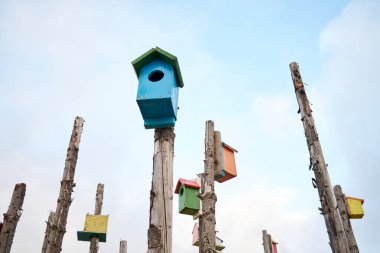 Kesilmiş ölü ağaçların altında asılı duran el yapımı yuvalar bulutlardaki mavi gökyüzüne karşı