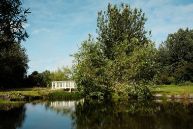 Parktaki yemyeşil ağaçların arasında küçük beyaz köprüsü olan huzurlu gölet suyu.