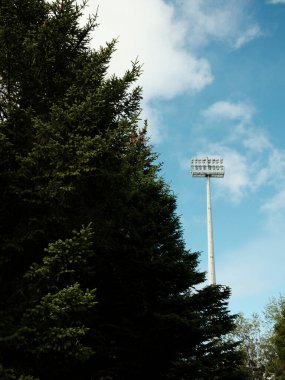Stadyumun üstünde çağdaş yüksek projektör direğinin alçak açısı ve mavi gökyüzünün altında yemyeşil kozalaklı ağaç.
