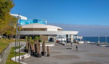 Odessa, Ukrayna 28.10.2022. Ukrayna 'nın Odessa kentindeki Lanzheron plajında güneşli bir sonbahar gününde yunus aryumu Nemo.