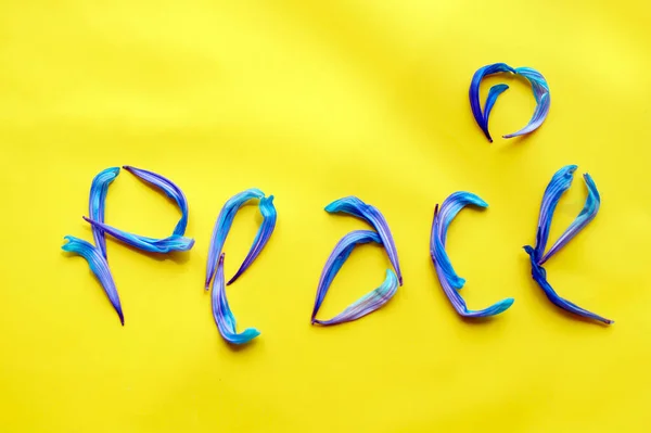 Barış Sözcüğü Sarı Arka Planda Mavi Kasımpatı Yapraklarından Oluşur — Stok fotoğraf