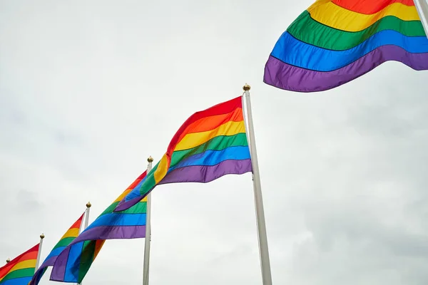 Från Regnbågsflaggor Fladdrar Flaggstänger Mot Mulen Grå Himmel Blåsig Dag — Stockfoto