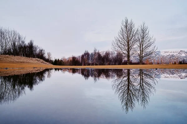 Мальовничий Краєвид Спокійного Чистого Озера Відображає Листяні Дерева Сухому Ґрунті — стокове фото