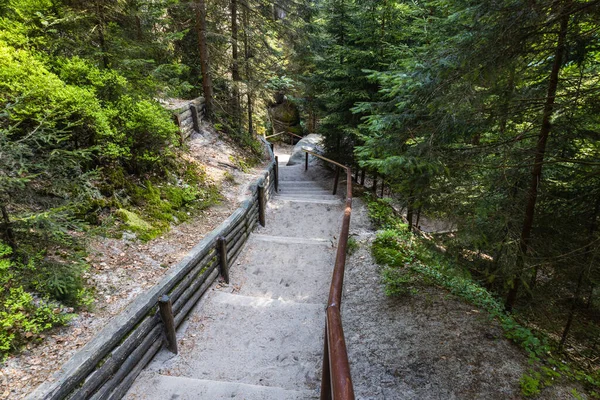 Sentier Pédestre Dans Réserve Naturelle Adrspach Teplice Rocks République Tchèque — Photo
