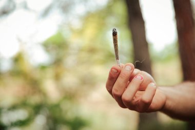 Ormanda marihuana sigarası tutan bir elin yakın çekimi.