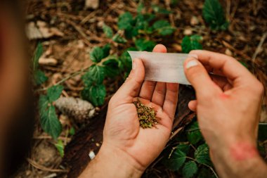 Ormanda marihuana saran bir adamın yakın çekimi.