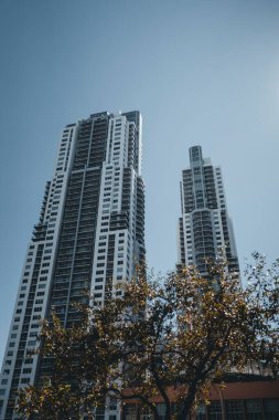 Miami şehir merkezindeki gökdelenler