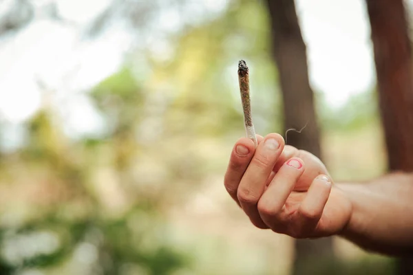 Primer Plano Una Mano Sosteniendo Cigarrillo Marihuana Bosque —  Fotos de Stock