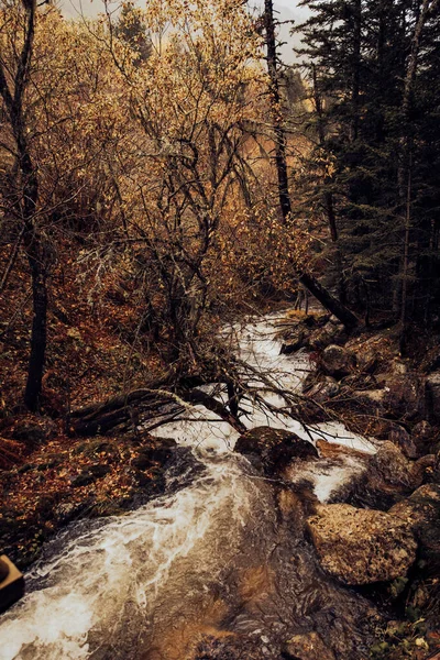 Rio Que Cruza Uma Floresta Montesa Outono — Fotografia de Stock