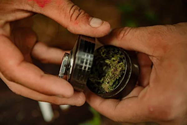 Close Man Rolling Marijuana Cigarette Forest — Stok Foto