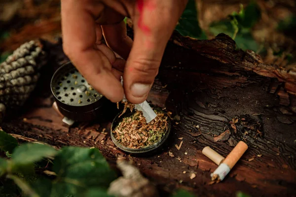 一个男人在森林里卷大麻香烟的特写镜头 — 图库照片