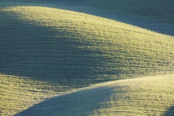 Тоскана Поля Текстури Заході Сонця — стокове фото