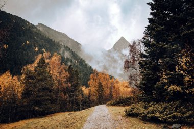 Sonbaharda ağaçlarla çevrili bir dağ vadisinde yol.