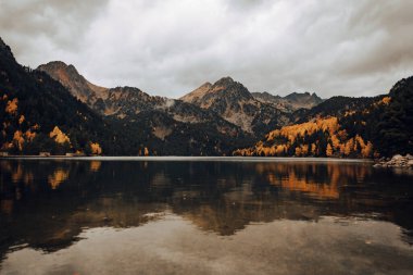 Bir gölün yanında dağ ve bulutlu bir günde birkaç ağaç.