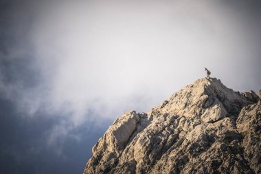 Sabah yüksek dağda buğulama.