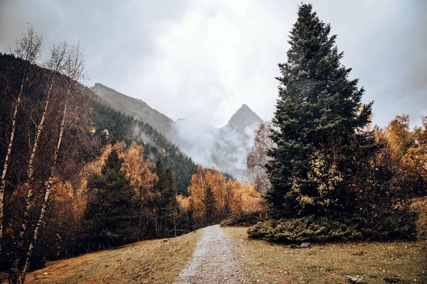 Ścieżka Dolinie Gór Otoczona Drzewami Jesienią — Zdjęcie stockowe