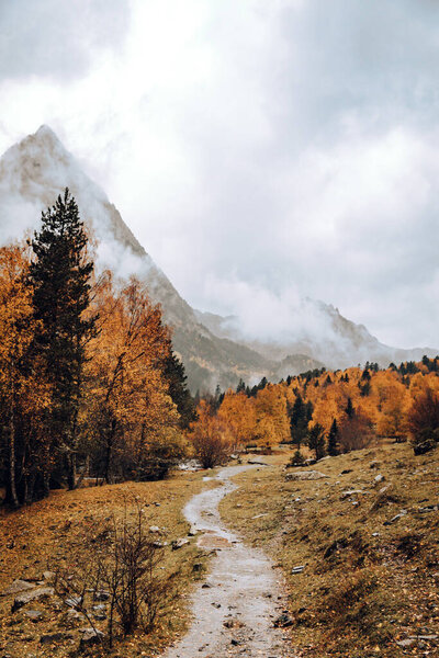 walk in a valley surrounded by mountains and trees