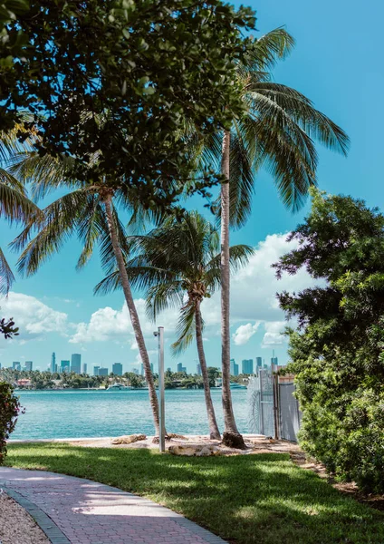 Palmen Strand Miami Usa Florida Schönen Tropischen Tag — Stockfoto