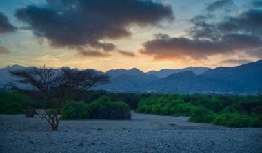 Arap Çölü 'nün doğa renkleri