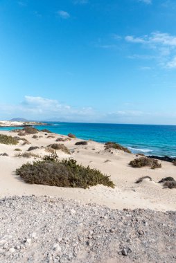 2020 sonbaharında İspanya, Fuerteventura 'daki Dunas de Corralejo Doğal Parkı.