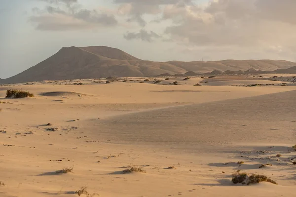 stock image Dunas de Corralejo Natural Park in Fuerteventura, Spain in the fall of 2020.