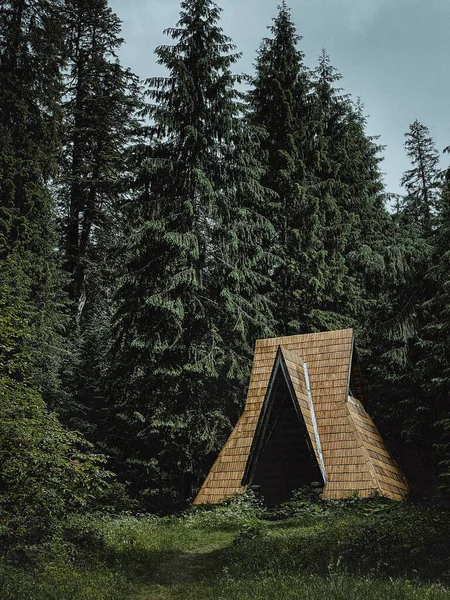 松树林的森林小屋 — 图库照片