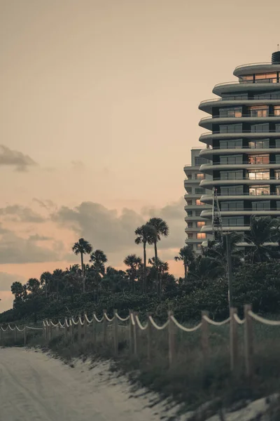 Miami Beach Floryda Zachód Słońca Budowa Palmy — Zdjęcie stockowe