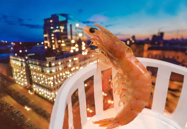 Shrimp stands on the balcony and watches the night city.