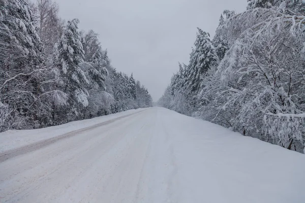 Winter Forest Snow Road — Stock Photo, Image