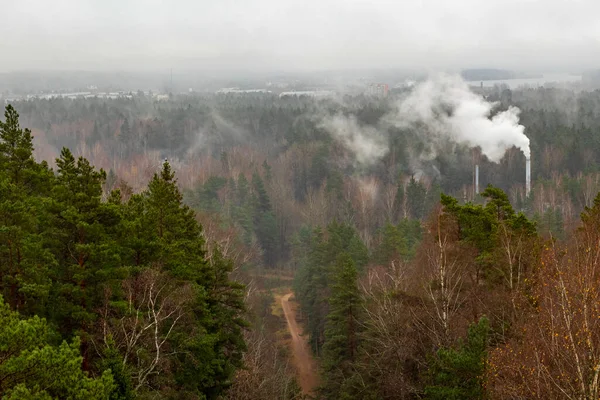 Sentier Montagne Forestier Tuyaux Industriels Avec Fumée Foggy Matin — Photo