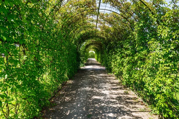 Archway Rundale Palace Park Latvia Leading Garden — Stockfoto