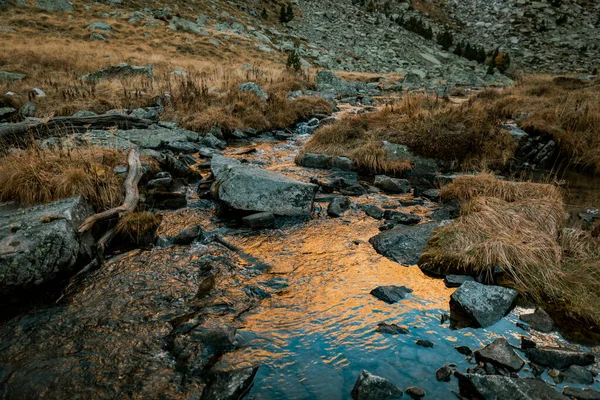Fluss Durchquert Ein Tal Mit Einem Berg Hintergrund — Stockfoto