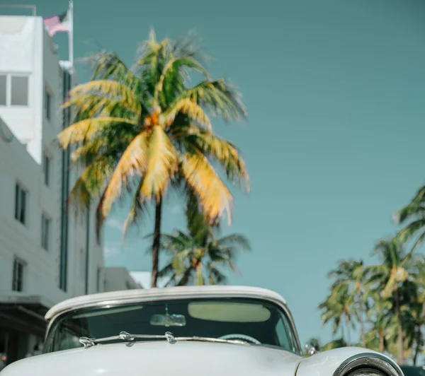 Bäume Auf Der Straße Alter Kartenklassiker Cuba Miami Beach — Stockfoto
