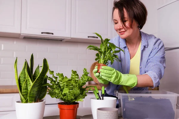Happy Woman Doing Home Plants Home — Stock Photo, Image