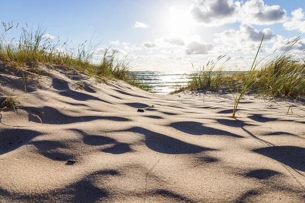 Baltic Sea Landscape Sandy Beach Dunes Grass — Stockfoto
