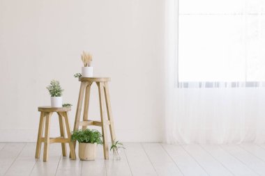 Ev bitkileriyle çevrili ahşap tabureli asgari ev