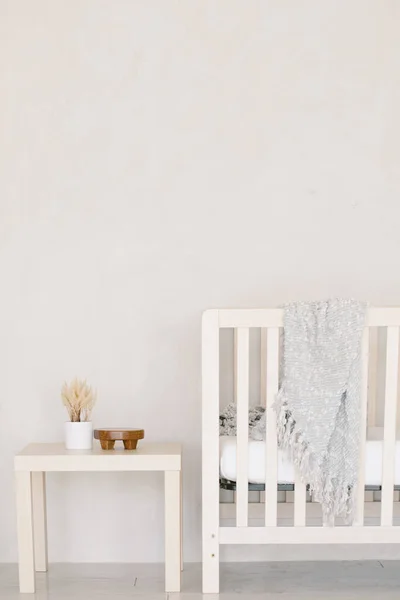 Moderne Wohnkultur Und Pflanze Neutralen Farben Hause Mit Baby — Stockfoto