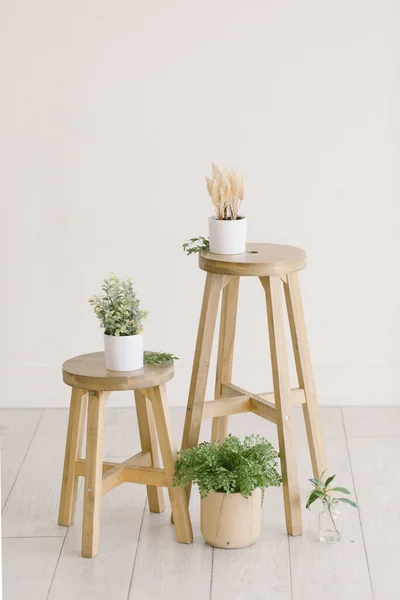 Abstraktes Foto Von Holzhockern Mit Umgebenden Zimmerpflanzen — Stockfoto