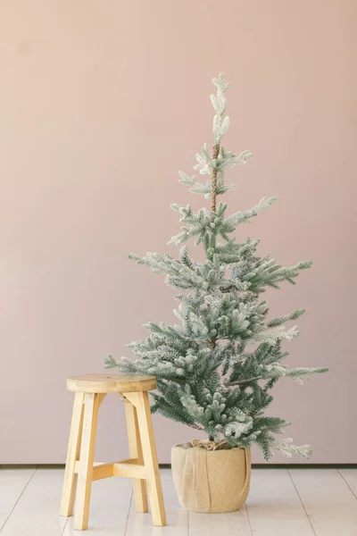 Мінімальна Різдвяна Фотографія Маленькою Різдвяною Ялинкою Загорнутою Палаючу — стокове фото