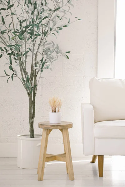 Quarto Branco Com Mobiliário Mínimo Decoração Plantas Com Janela — Fotografia de Stock