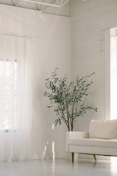 自然の窓の光が入ってくる最小限の装飾で白い部屋 — ストック写真
