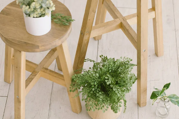 Minimale Wohnung Mit Holzhockern Umgeben Von Zimmerpflanzen — Stockfoto