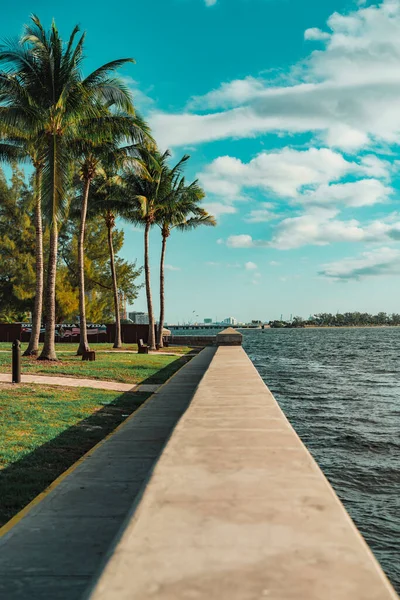 Strand Mit Palmen Uferpromenade Einsiedelei Kubaner Miami — Stockfoto