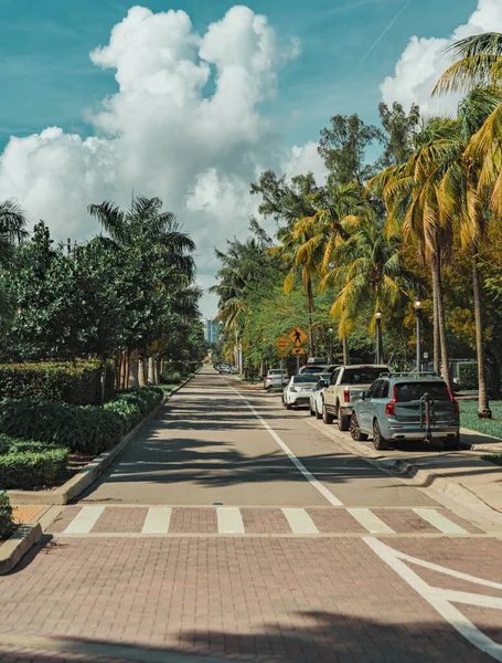 Park Mieście Miami Beach Wyspa Samochody Palmy Tropikalne — Zdjęcie stockowe
