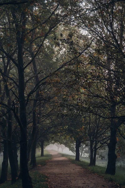 歩道橋は霧の多い風景の中で終わる — ストック写真