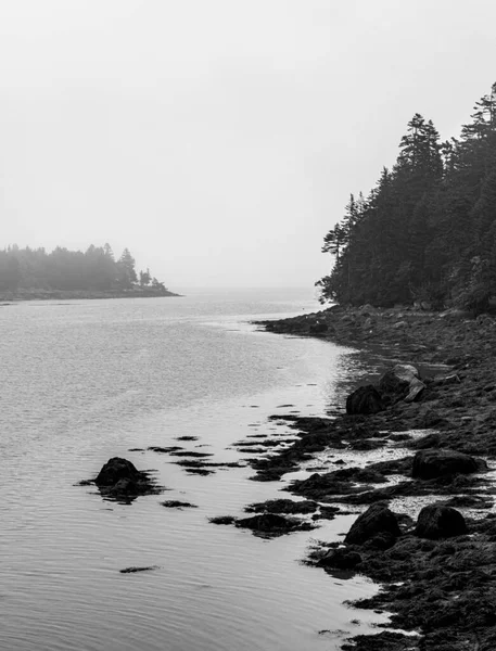 浓雾中缅因州岩石成本的黑白图像 — 图库照片